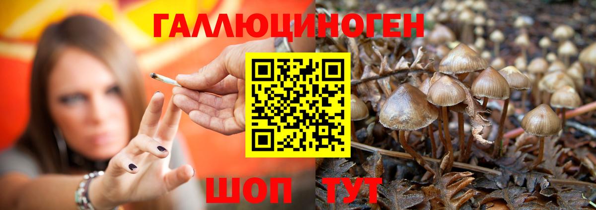 Галлюциногенные грибы Cubensis Шарыпово